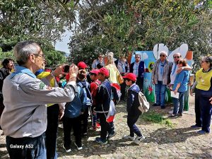 Festa delle Api 2025